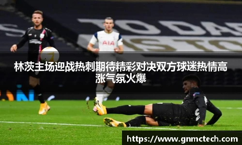 林茨主场迎战热刺期待精彩对决双方球迷热情高涨气氛火爆